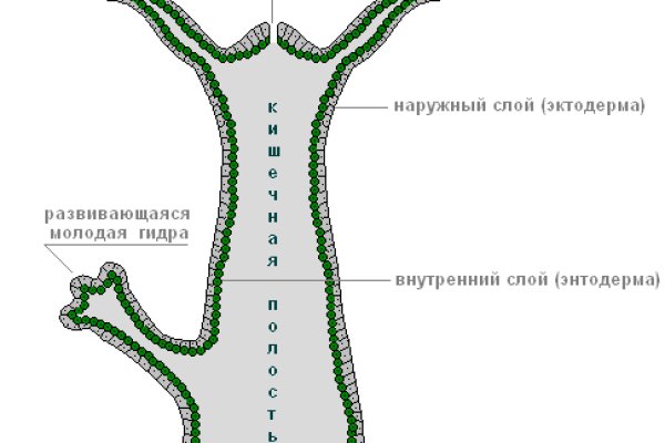 Вывести деньги с кракена