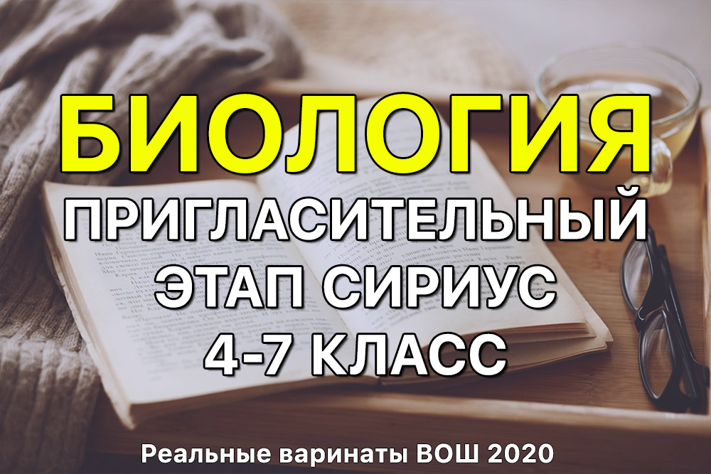 Кракен купить порошок krk market com